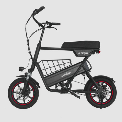 F1 Hybrid E-Bike